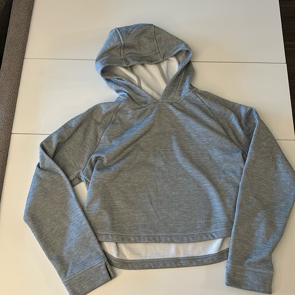 Cropped Gray North Face Hoodie - Picture 2 of 5